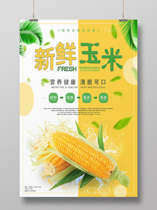 白黄简洁新鲜玉米玉米海报
